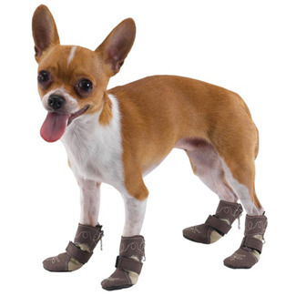 Как сшить обувь для собак своими руками, выкройка ботинок и тапочек для собак